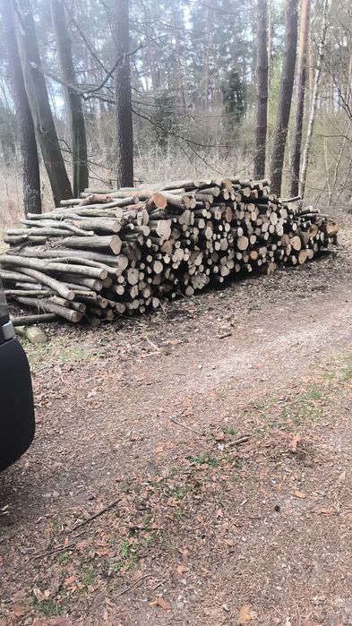 Drewno opałowe liściaste