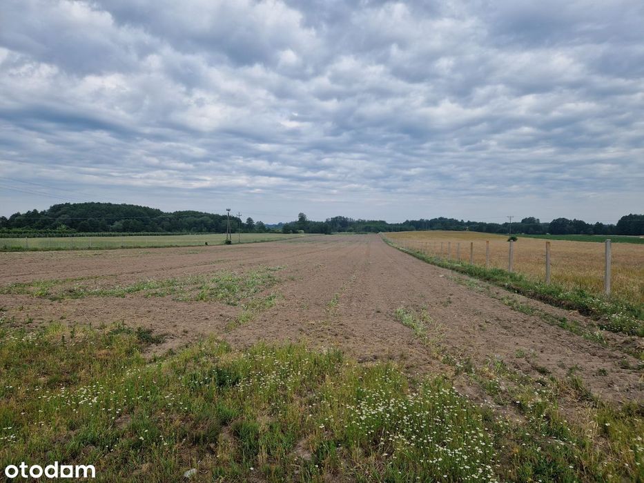 Działka rolna z możliwością zabudowy, gm. Grójec