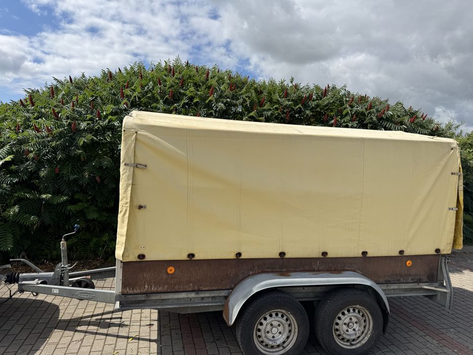 Przyczepka  Boeckmann 2000kg 3.1x1.6m  przyczepa