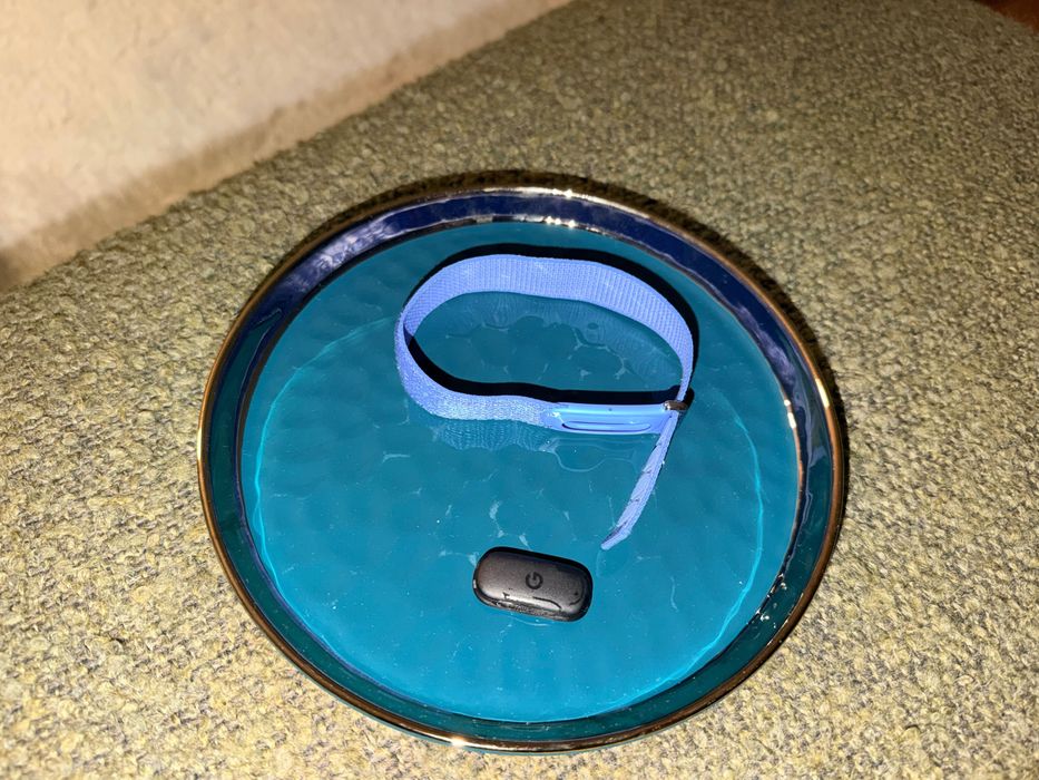 Fitbit Air screen less