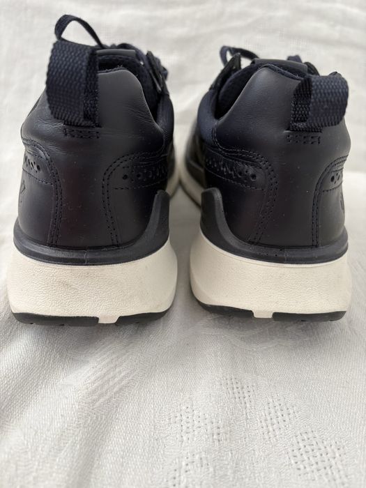 Buty Ecco biom 40 26cm