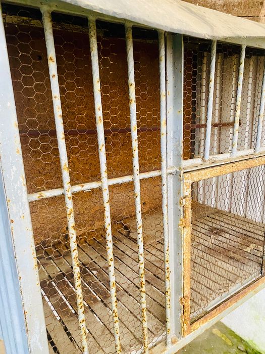 Gaiola para pássaros ou coelhos