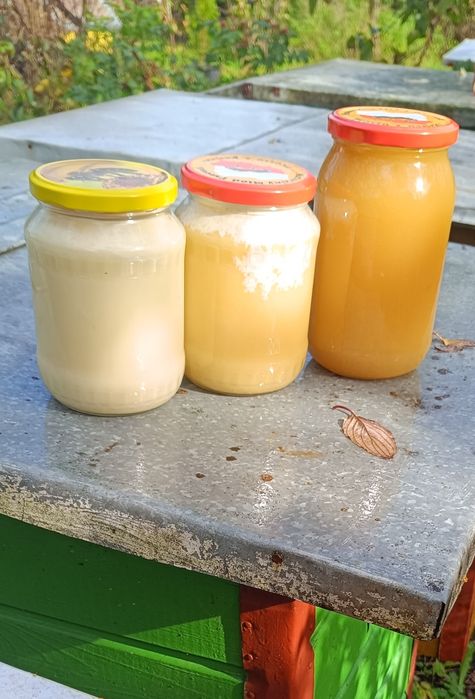 Miód naturalny polski