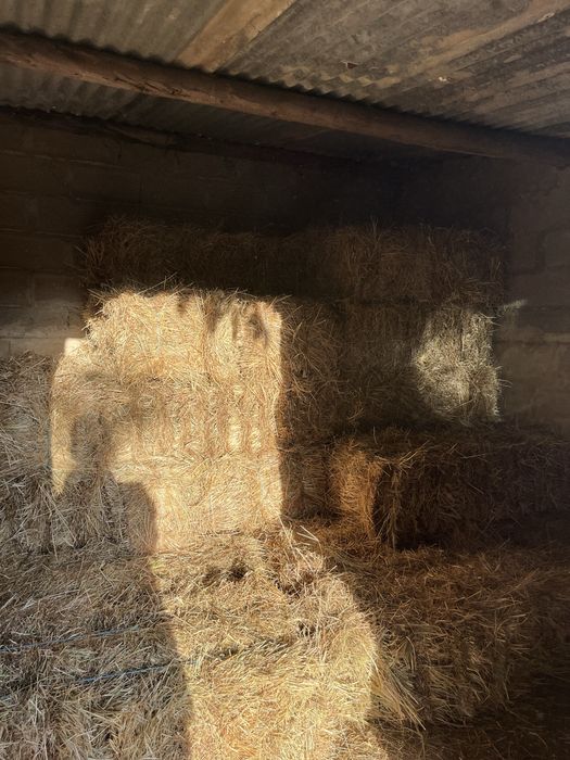 Fardos de palha