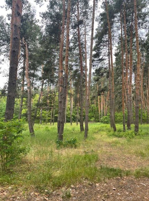 Великий масив землі під Забудову біля Житомирської траси