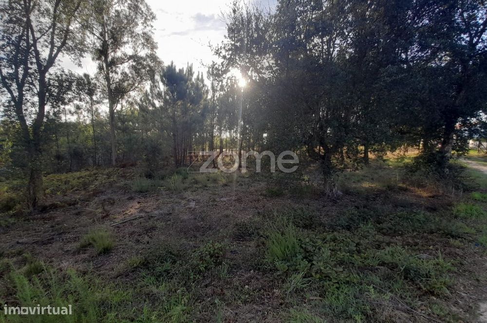 Terreno Rustico