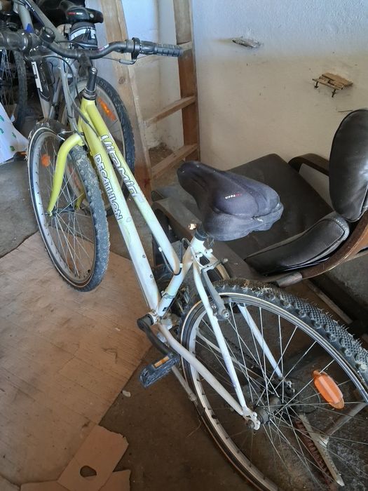 Bicicletas de marcas diversas