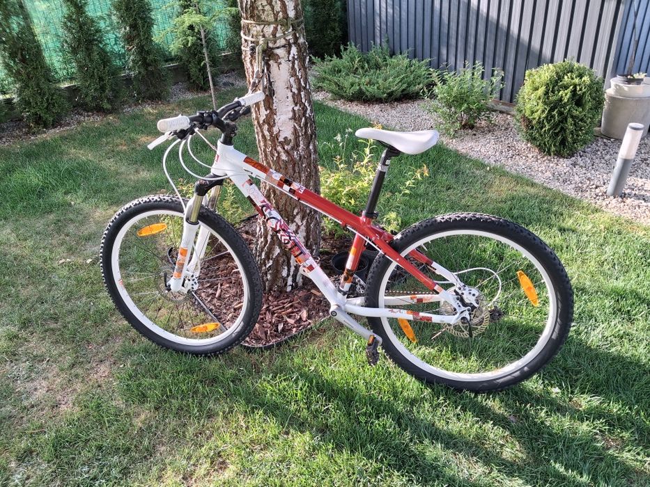 Scott contessa 30