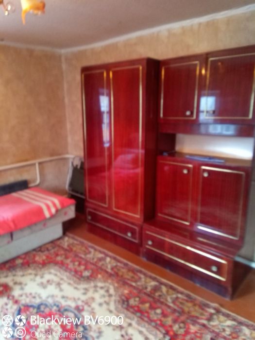 Здам окремий флігель в центрі міста