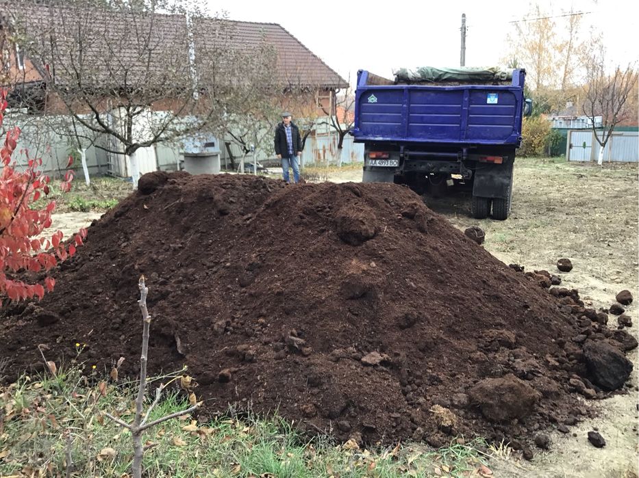 добриво для грядки, перегній кінський
