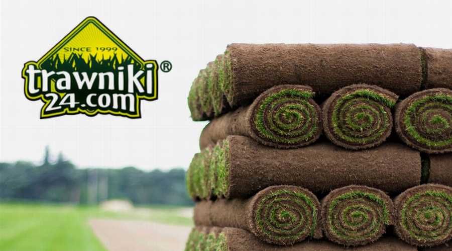 Trawa w rolkach 35m2 - paleta z dostawą CHŁODZONA 6°C