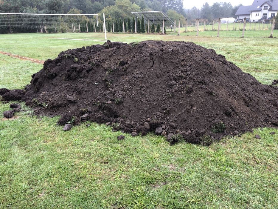 Czarna ziemia, humus czysty