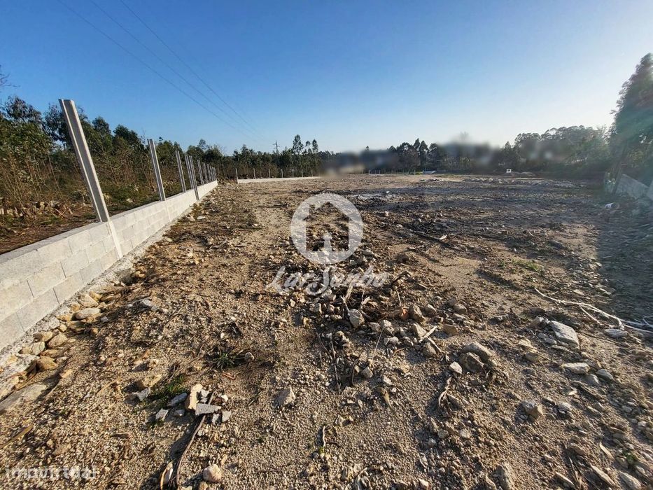 Rustic Land Plot of 7,000 m² in Argivai, Póvoa de Varzim