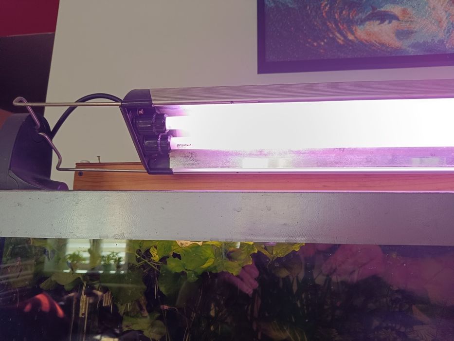 Lampa do akwarium