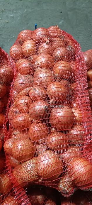 Продам качественный лук,в объёме