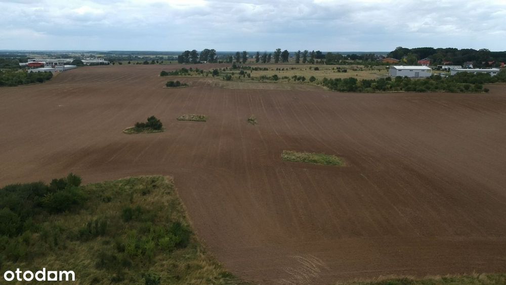 Wydane WZ (hale 3300 m2) + Strefa Gospodarcza w Planie Ogólnym!
