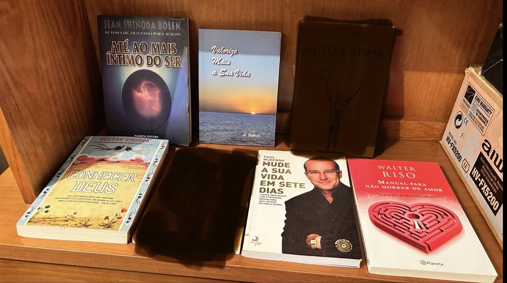 Lote de varios Livros Autoajuda e Bem-Estar