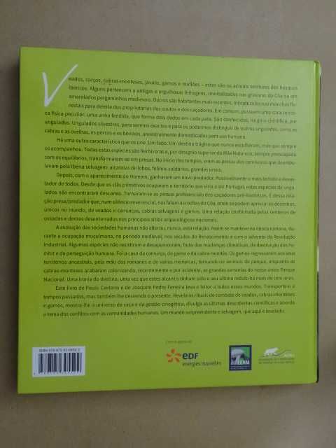 Senhores do Bosque de Paulo Caetano e Joaquim Pedro Ferreira