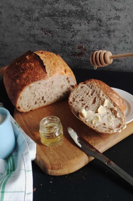 Domowy chlen na zakwasie