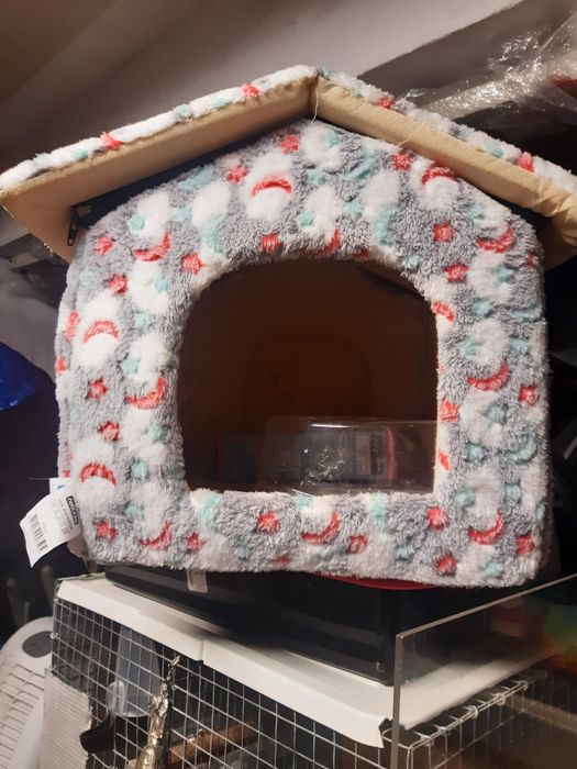 Casota  para seu mini cão   de estimação