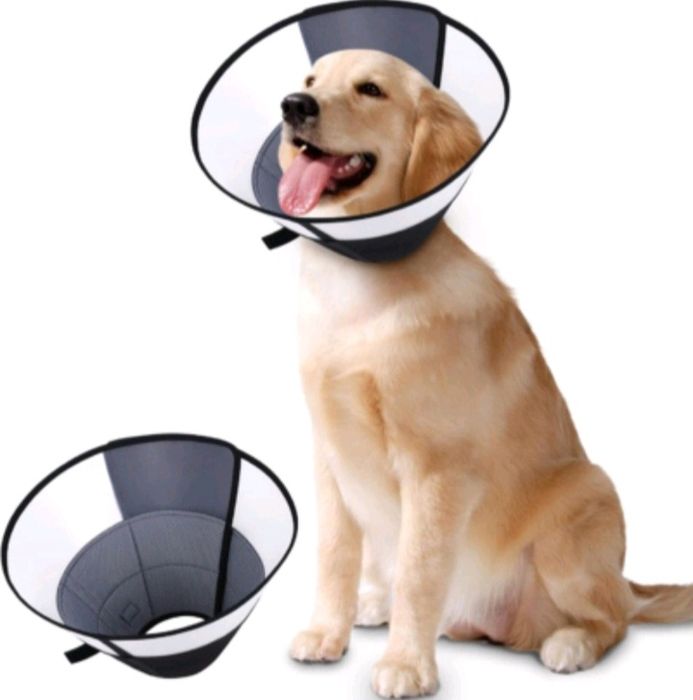 ROMANTIC BEAR Kołnierz dla psa po operacji M