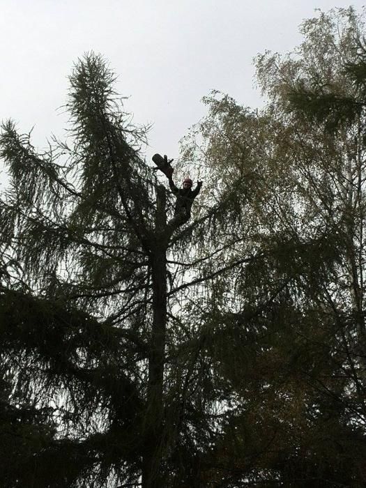 Wycinka drzew,skracanie koron,podcinka.Lubelskie.