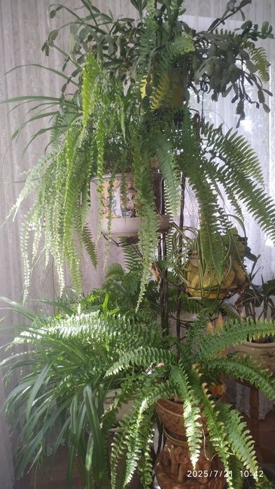 Продам  підставки для квітів,шкатулка для дисків