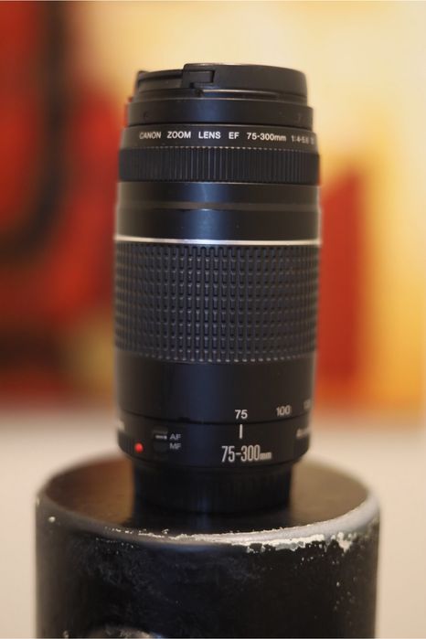 Vendo lente da Canon EF 75-300mm f/4-5.6 iii