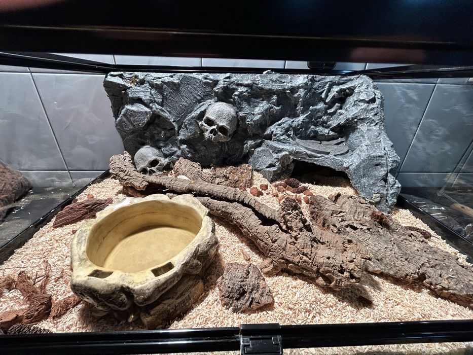 Sprzedam terrarium Repti-Zoo w komplecie ze ścianką