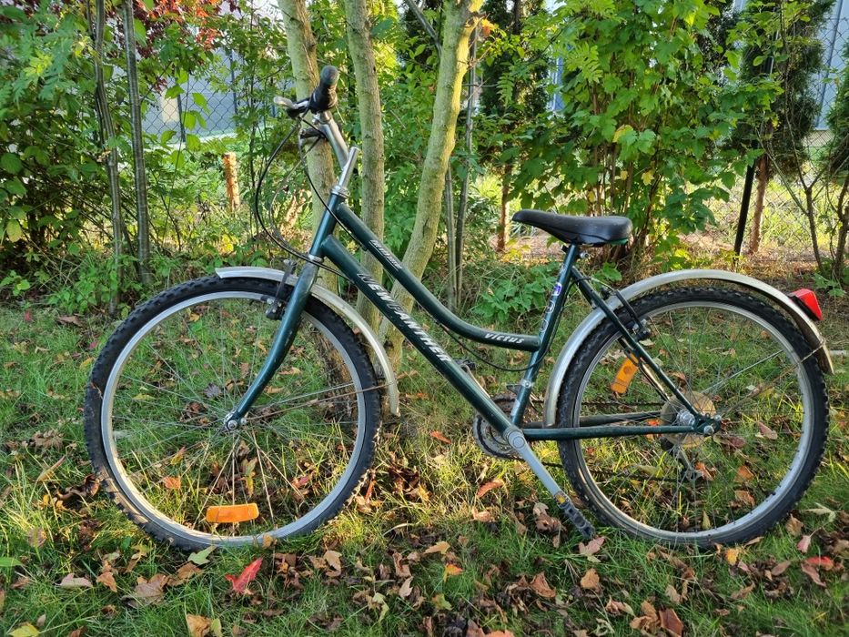 Rower Victus New Panther 26"