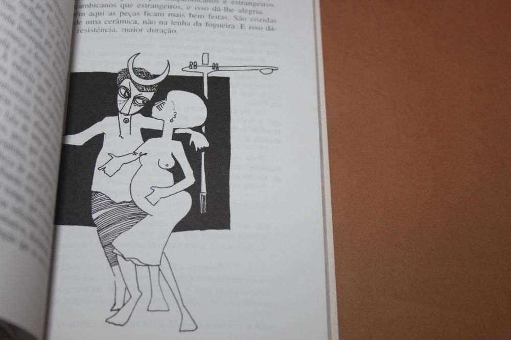 Até Ficar Rouco Crónicas de Machado da Graça