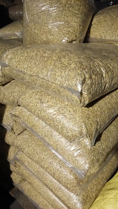 Owies workowany 15kg zamiennik pelletu