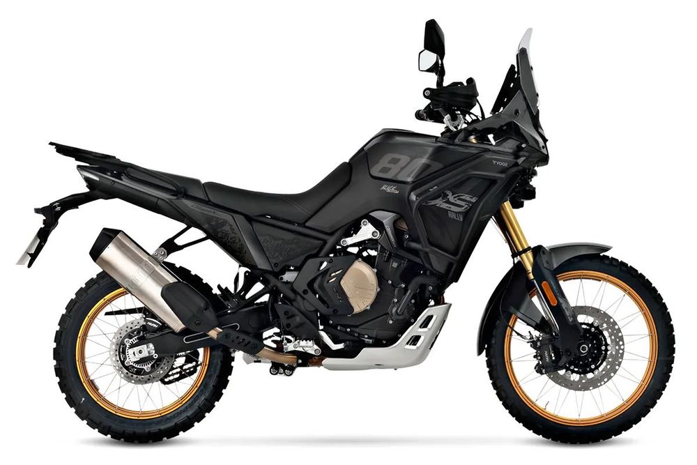 Voge DS800 Rally NOVIDADE