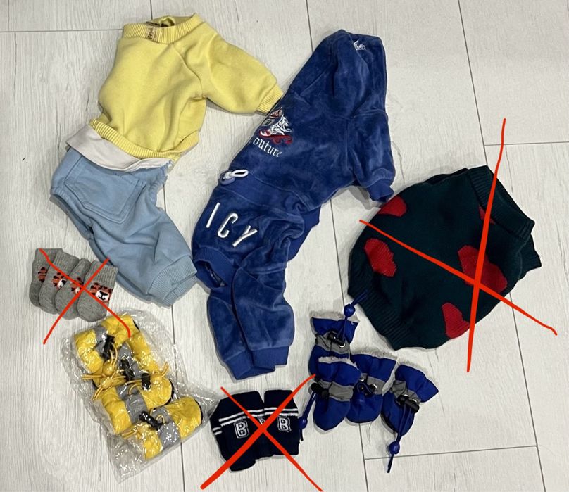 Шлея Zeedog розмір XS ami play pesic co pets fashion