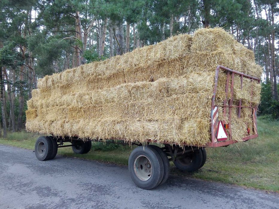 Słoma jęczmienna ,żytnia,pszenżytnia w kostkach.