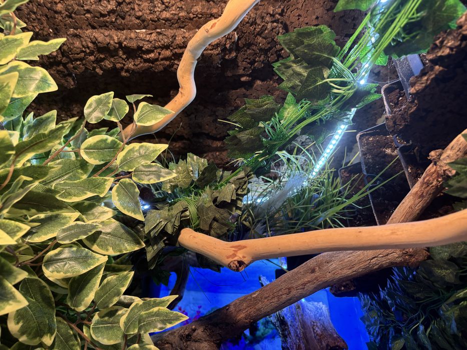 Terrarium tropikalne 100x160x55 cm z akwarium