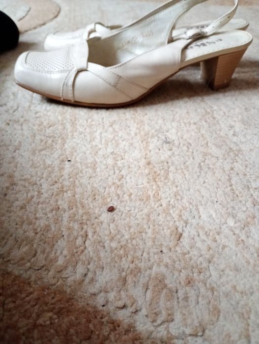 Buty damskie  ecru na obcasie