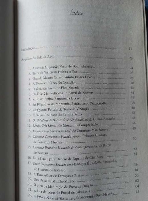 Arquivo da Falésia Azul - Yuanwu Keqin