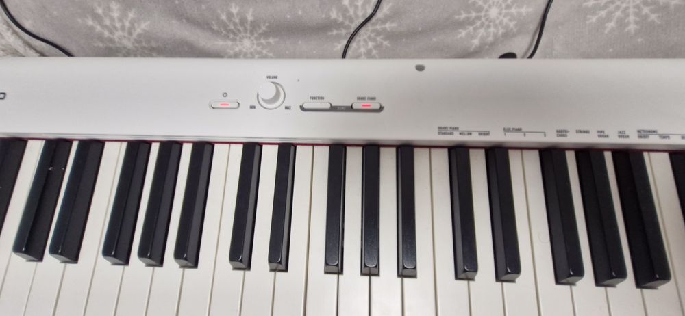 Цифрове піаніно Casio CDP-S110