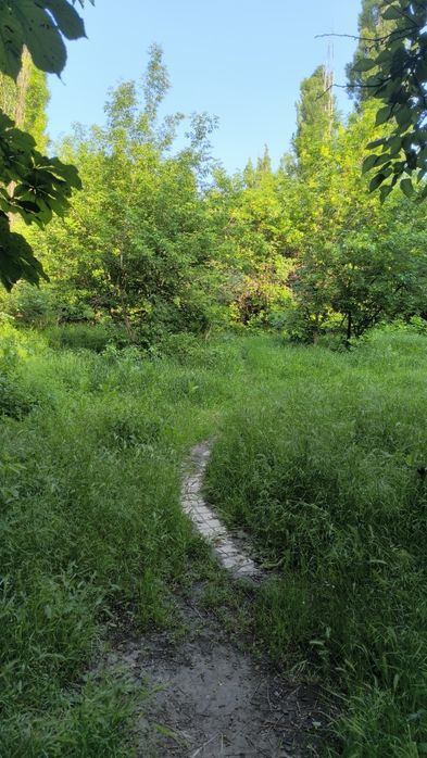 Комплекс приміщень під реконструкцію