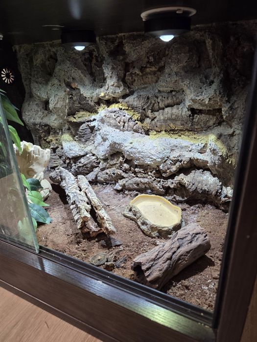 Terrarium 60x40x40