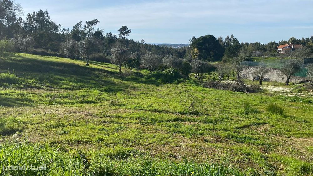 Terreno para construção – a 15 minutos de Tomar e do Entroncamento (Li