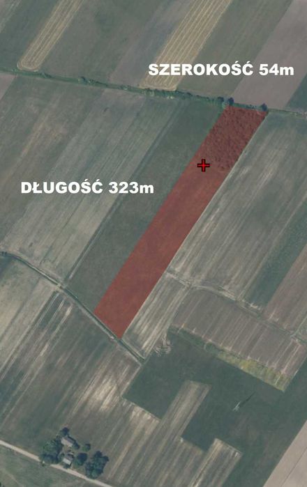 Pole orne 1,63ha - Sieczków gm. Tuczępy - Widok 3