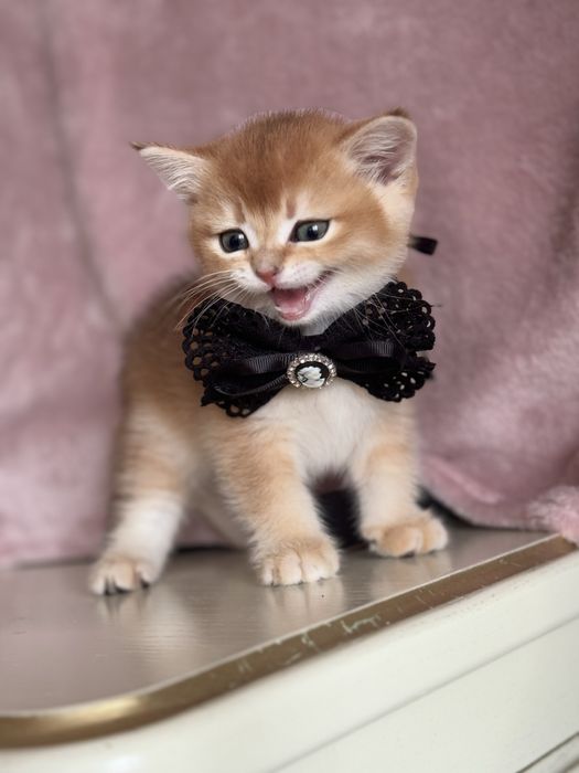 Все найкраще закладено в цих дітках.