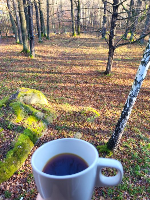 Komfortowe noclegi w Karkonoszach - Cieplice Zdrój - Jelenia Góra