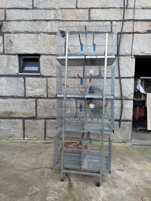Viveiros Duplos Galvanizados