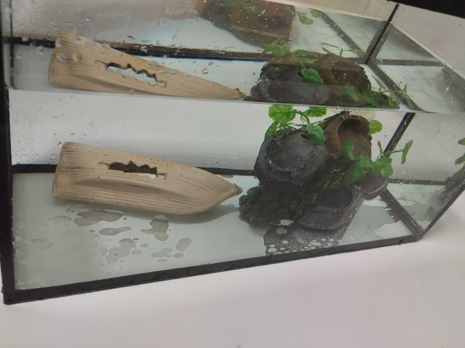 Aquário osiris para desocupar