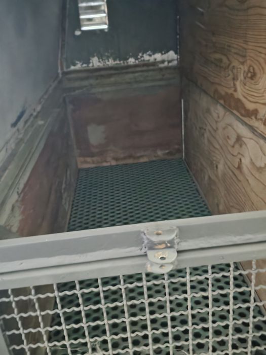 Vendo atrelado para cães pode levar 4 pequenos como 2ou3 grandes