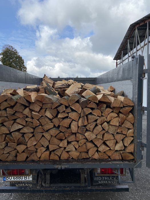 Дрова колені,колоті,рубані,метровки-бук,граб,доставка