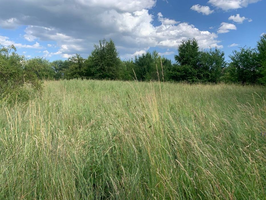 Продам земельну ділянку у Східниці